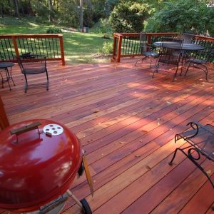 Gallery11-Tiger-Deck-Roever