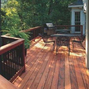 Gallery6-Tiger-Deck-In-the-Woods